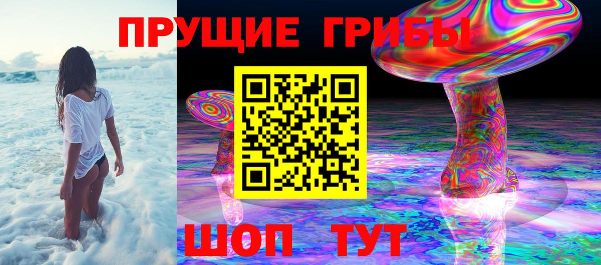 Псилоцибиновые грибы мухоморы Омск